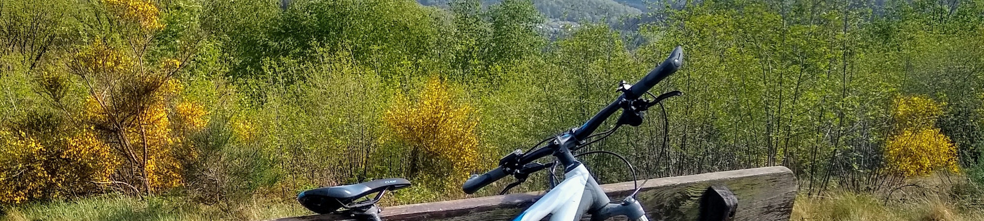 Mountainbike lehnt an einer Holzbank mit Blick auf bewaldete Hügel im Giebelwald unter blauem Himmel mit Wolken